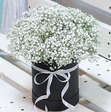 Цветочная композиция из Гипсофила в шляпной коробке #REPLACE_PRED# Николаевской Краснодарского края